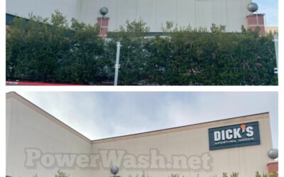 Houston Business Owners